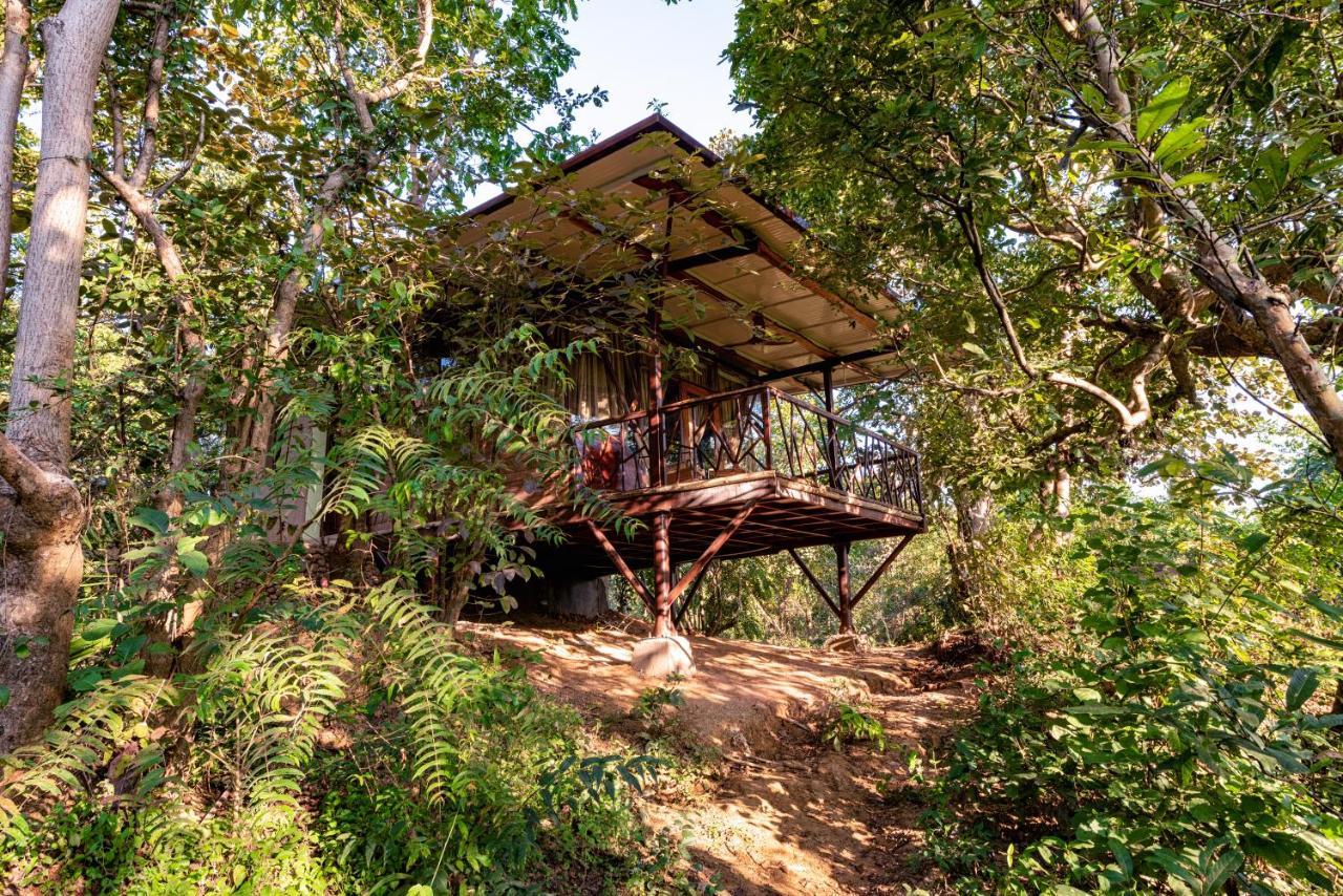 Kanha Jungle Camp エクステリア 写真