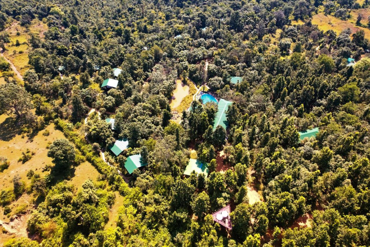 Kanha Jungle Camp エクステリア 写真