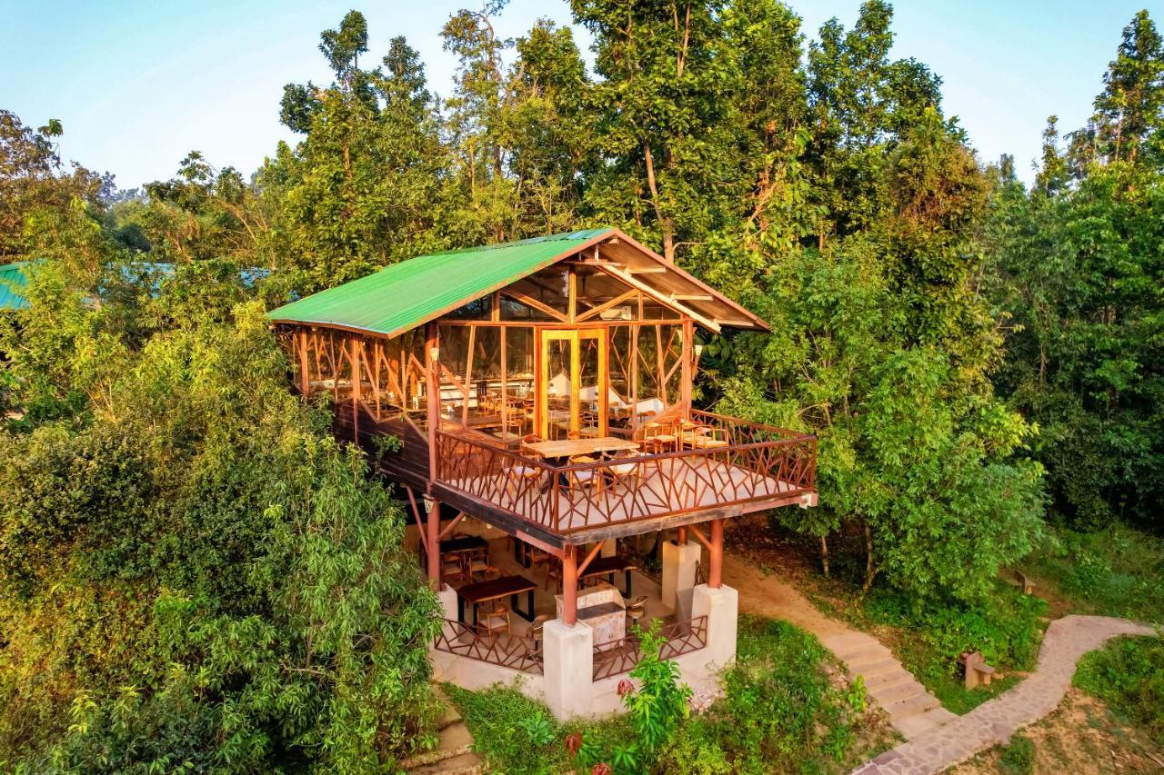 Kanha Jungle Camp エクステリア 写真