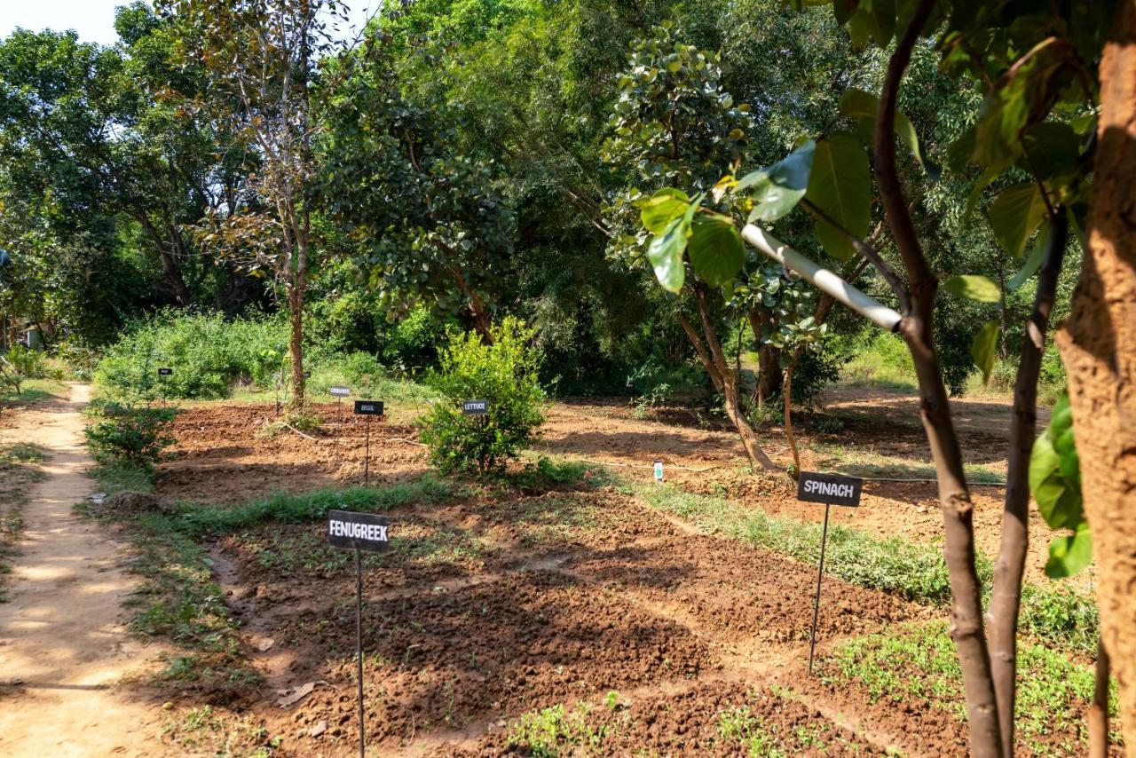Kanha Jungle Camp エクステリア 写真