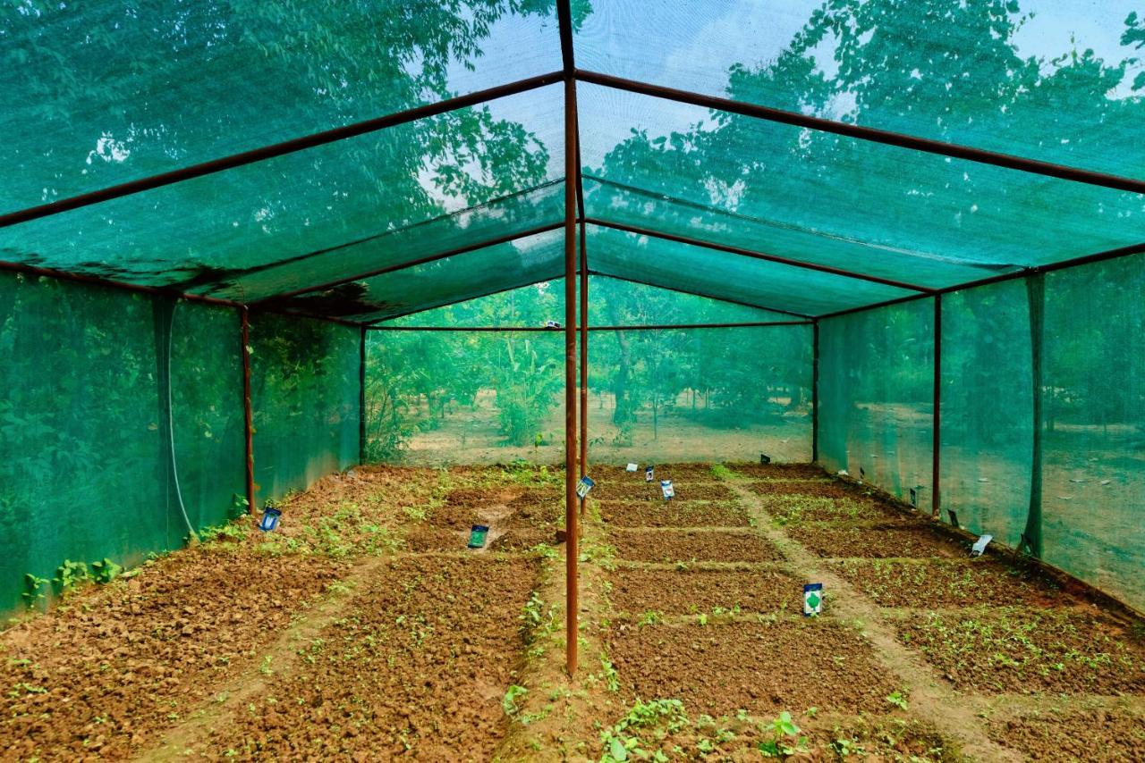 Kanha Jungle Camp エクステリア 写真