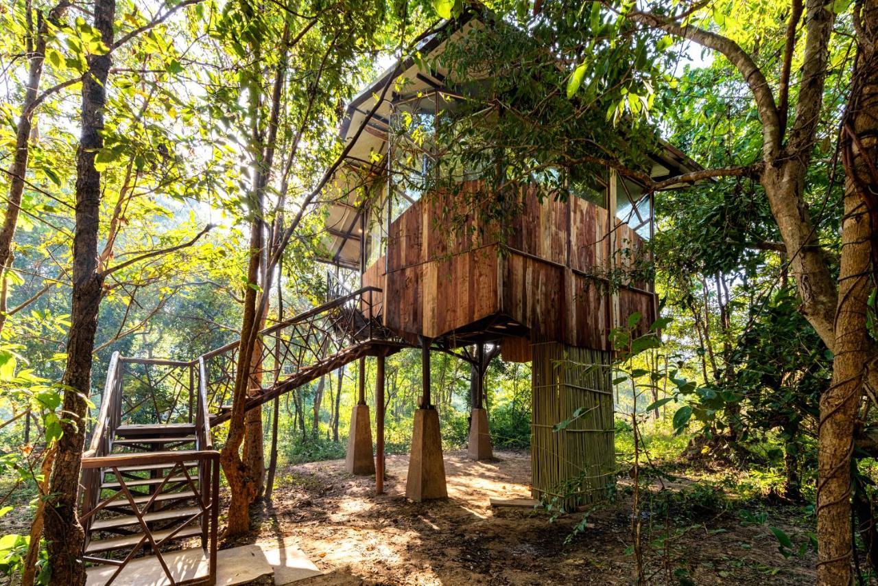 Kanha Jungle Camp エクステリア 写真