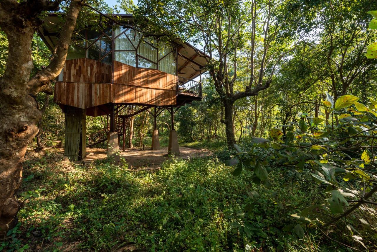 Kanha Jungle Camp エクステリア 写真