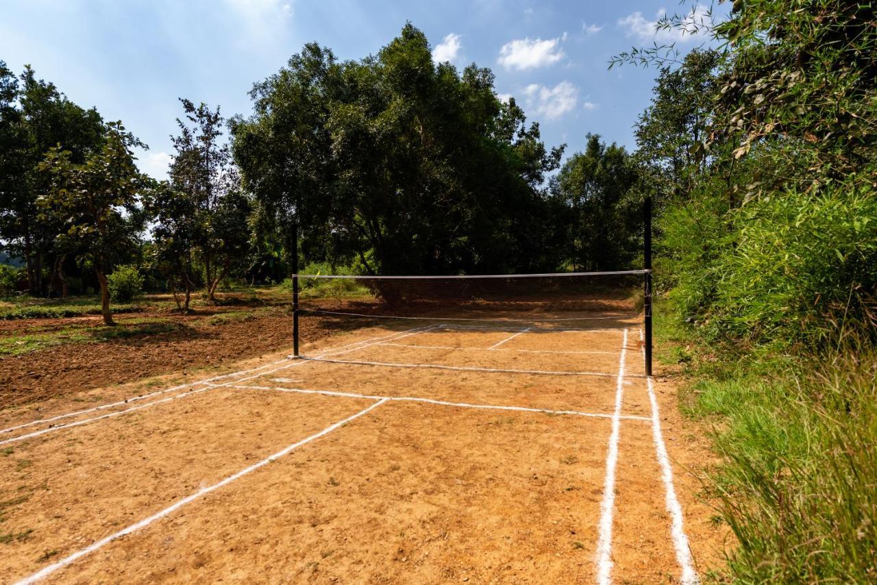 Kanha Jungle Camp エクステリア 写真