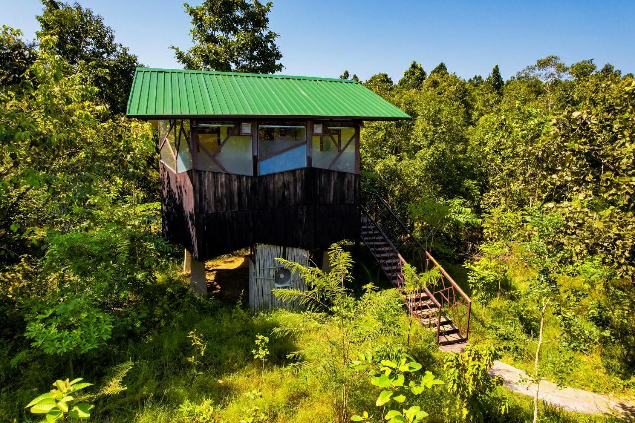 Kanha Jungle Camp エクステリア 写真
