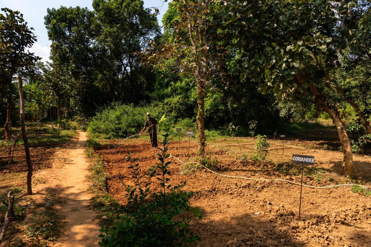 Kanha Jungle Camp エクステリア 写真