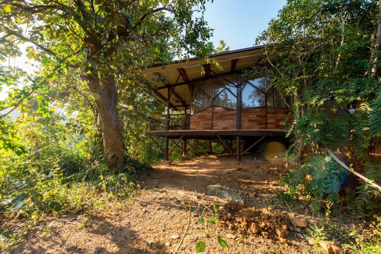 Kanha Jungle Camp エクステリア 写真
